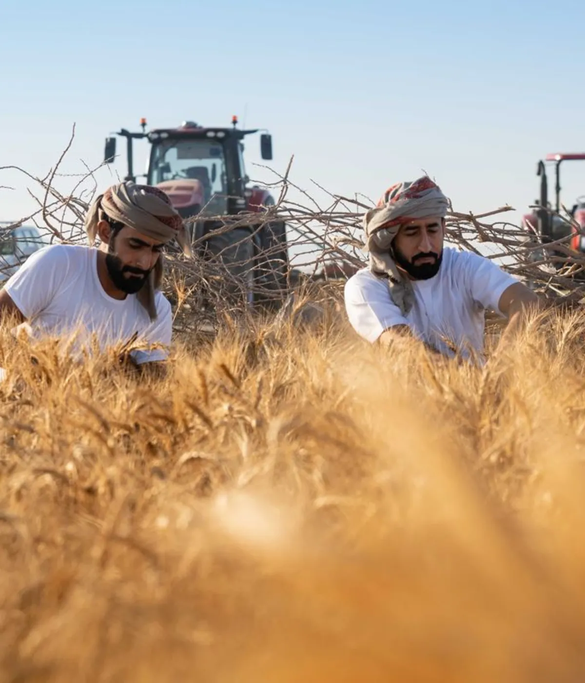 Culture-led climate storytelling