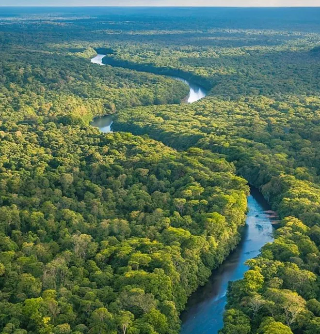 Our partner organisation - Frontier 25 - is a climate action advisory that is transforming our climate and growing the green economy by turning ambition into tangible progress.
