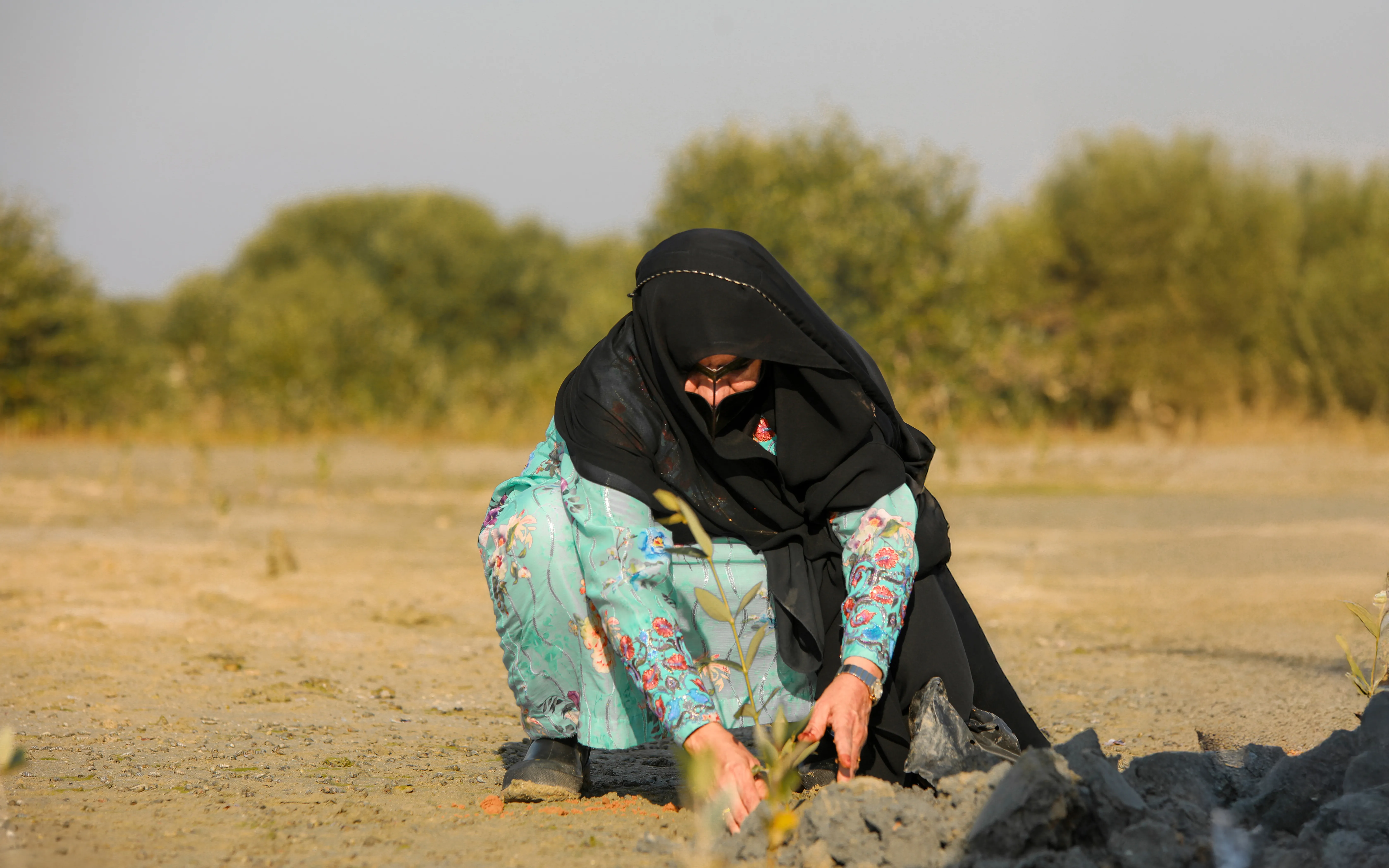 Sustainability film series