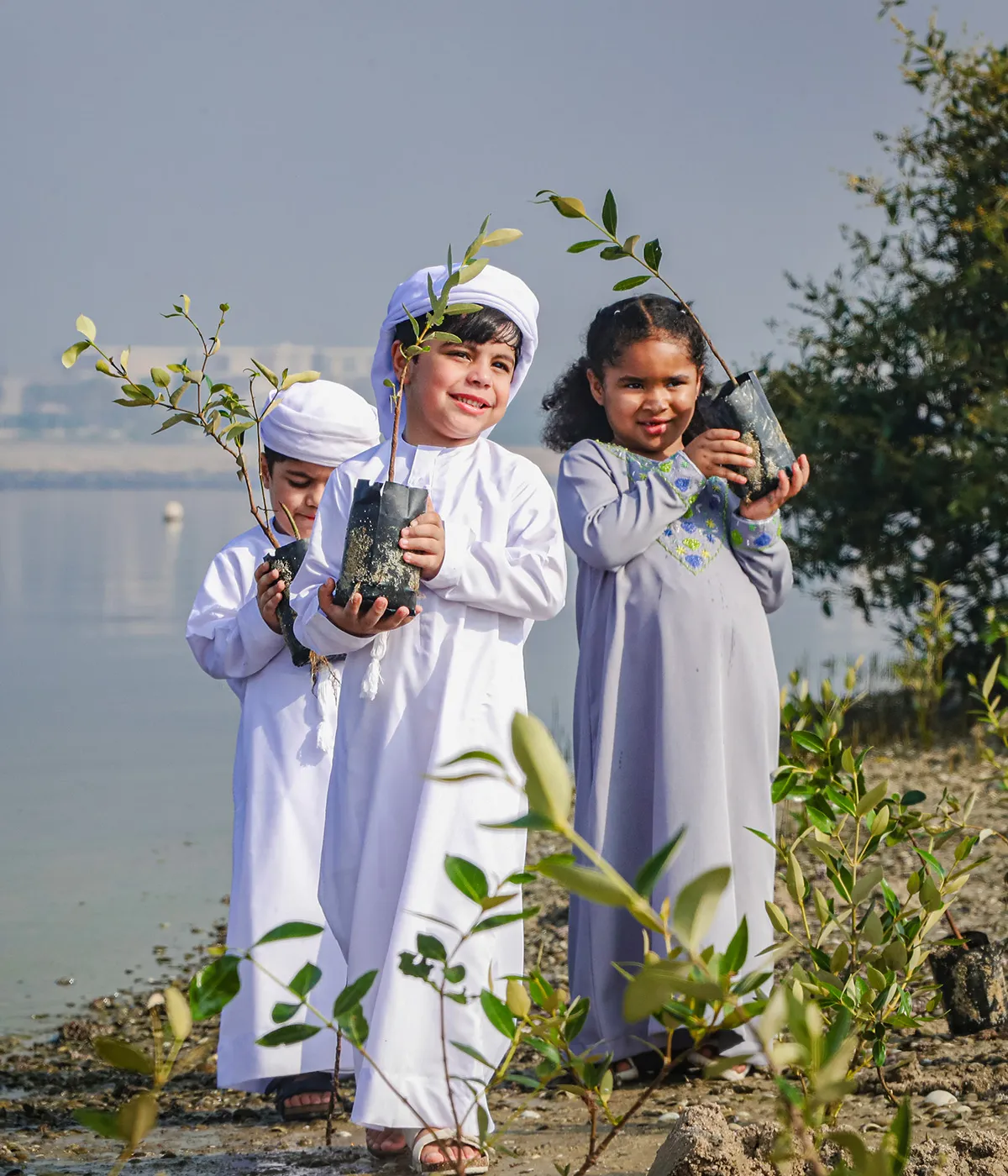 UAE-rooted