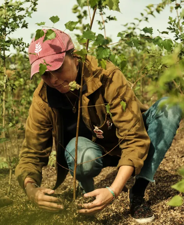 Weaving pocket forests into city tapestries